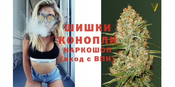 ПСИЛОЦИБИНОВЫЕ ГРИБЫ Алзамай
