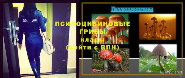 МДПВ Алексеевка