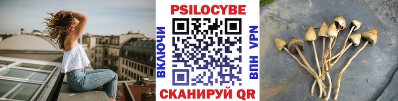 Псилоцибиновые грибы мухоморы  mega зеркало  Полысаево 