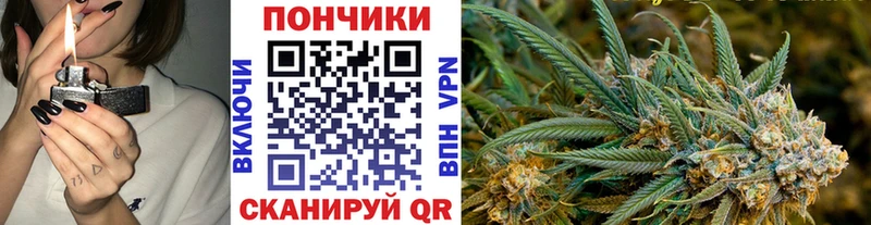 закладки  Полысаево  ОМГ ОМГ ТОР  Бошки марихуана конопля 